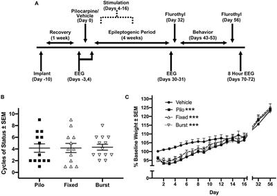 Early Intervention via Stimulation of the Medial Septal Nucleus Improves Cognition and Alters Markers of Epileptogenesis in Pilocarpine-Induced Epilepsy